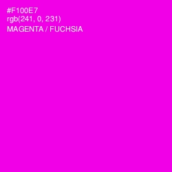 #F100E7 - Magenta / Fuchsia Color Image
